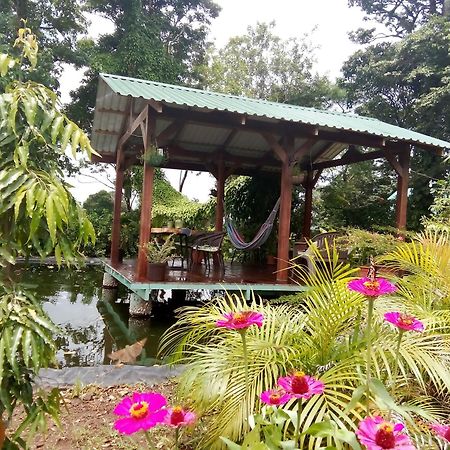 Greenhouse Loft Miravalles Aguas Claras  Экстерьер фото