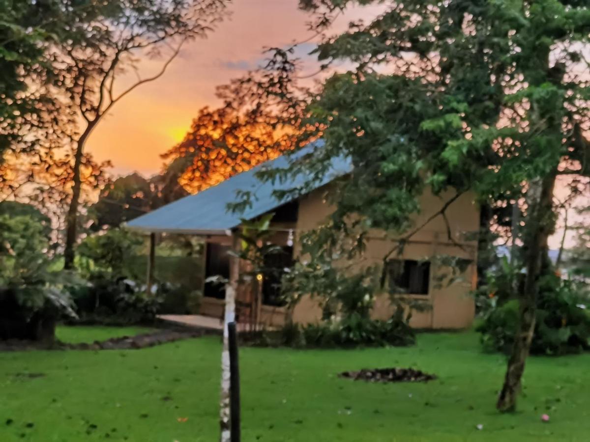 Greenhouse Loft Miravalles Aguas Claras  Экстерьер фото