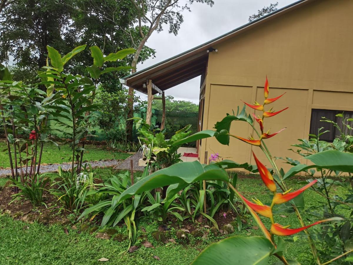 Greenhouse Loft Miravalles Aguas Claras  Экстерьер фото