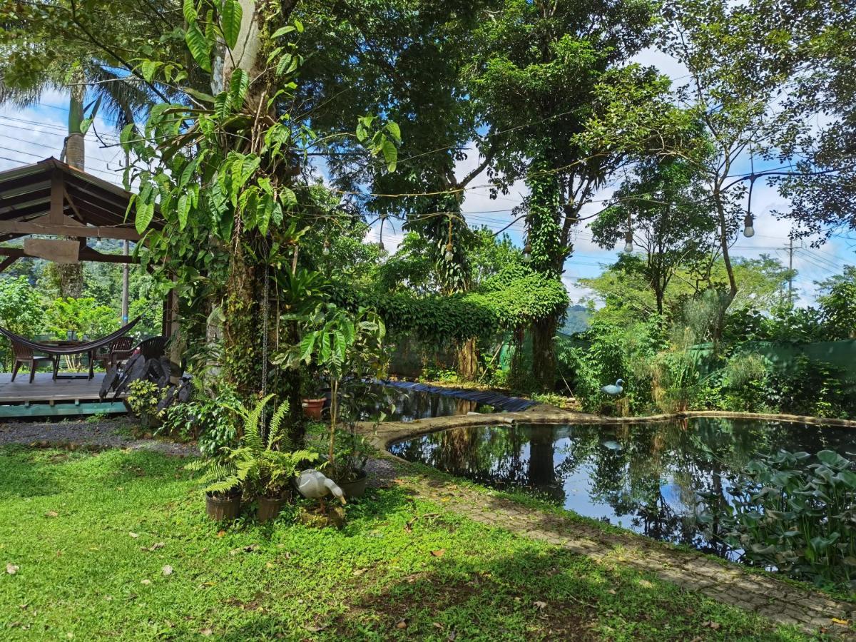 Greenhouse Loft Miravalles Aguas Claras  Экстерьер фото