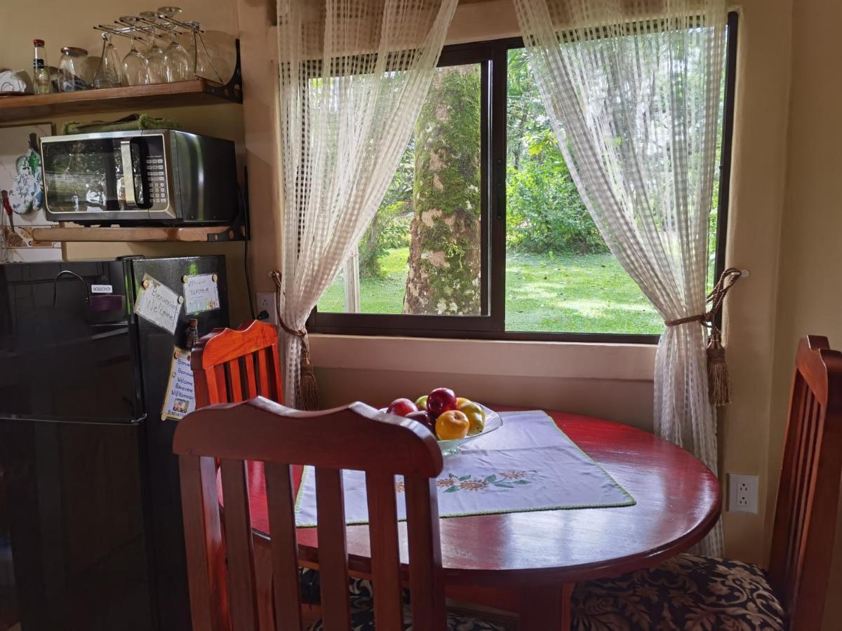 Greenhouse Loft Miravalles Aguas Claras  Экстерьер фото