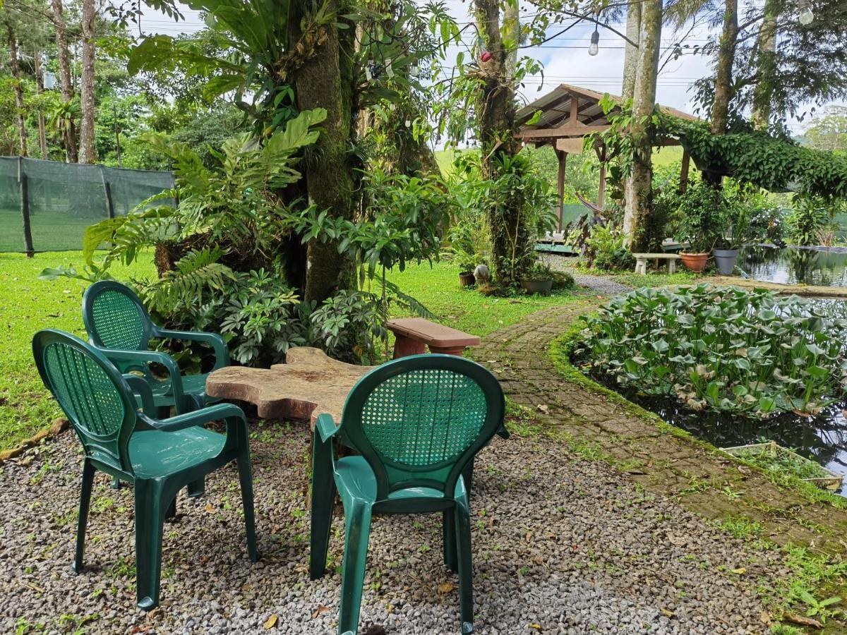 Greenhouse Loft Miravalles Aguas Claras  Экстерьер фото