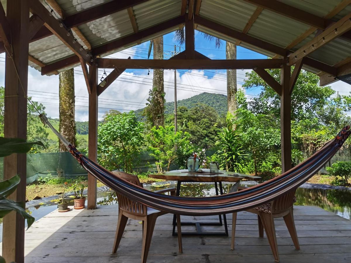 Greenhouse Loft Miravalles Aguas Claras  Экстерьер фото