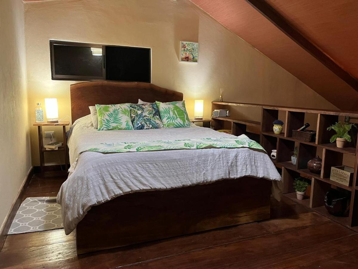Greenhouse Loft Miravalles Aguas Claras  Экстерьер фото