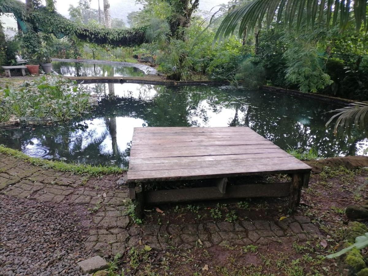 Greenhouse Loft Miravalles Aguas Claras  Экстерьер фото