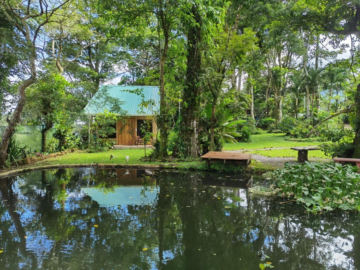 Greenhouse Loft Miravalles Aguas Claras  Экстерьер фото