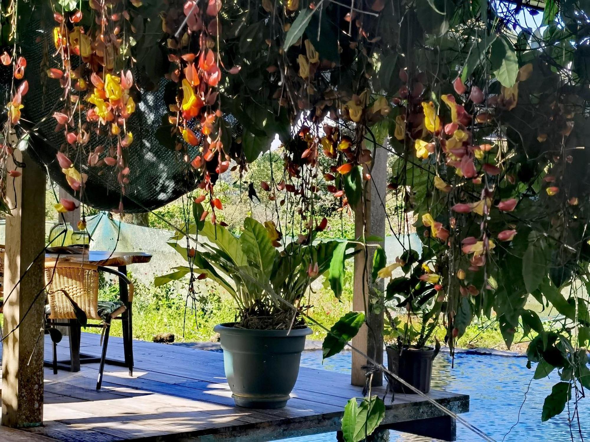 Greenhouse Loft Miravalles Aguas Claras  Экстерьер фото