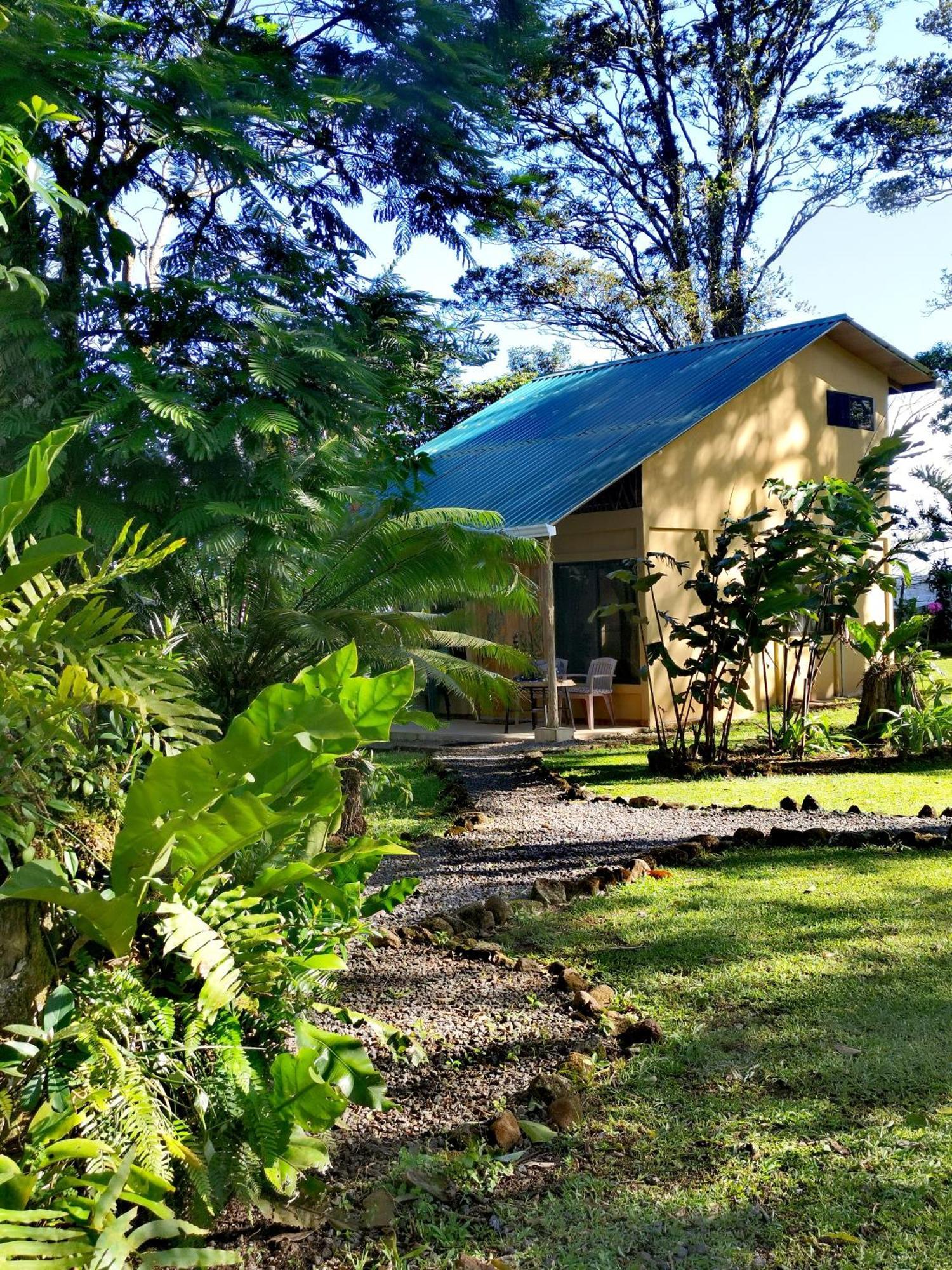 Greenhouse Loft Miravalles Aguas Claras  Экстерьер фото