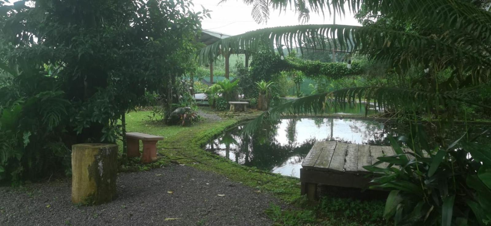 Greenhouse Loft Miravalles Aguas Claras  Экстерьер фото
