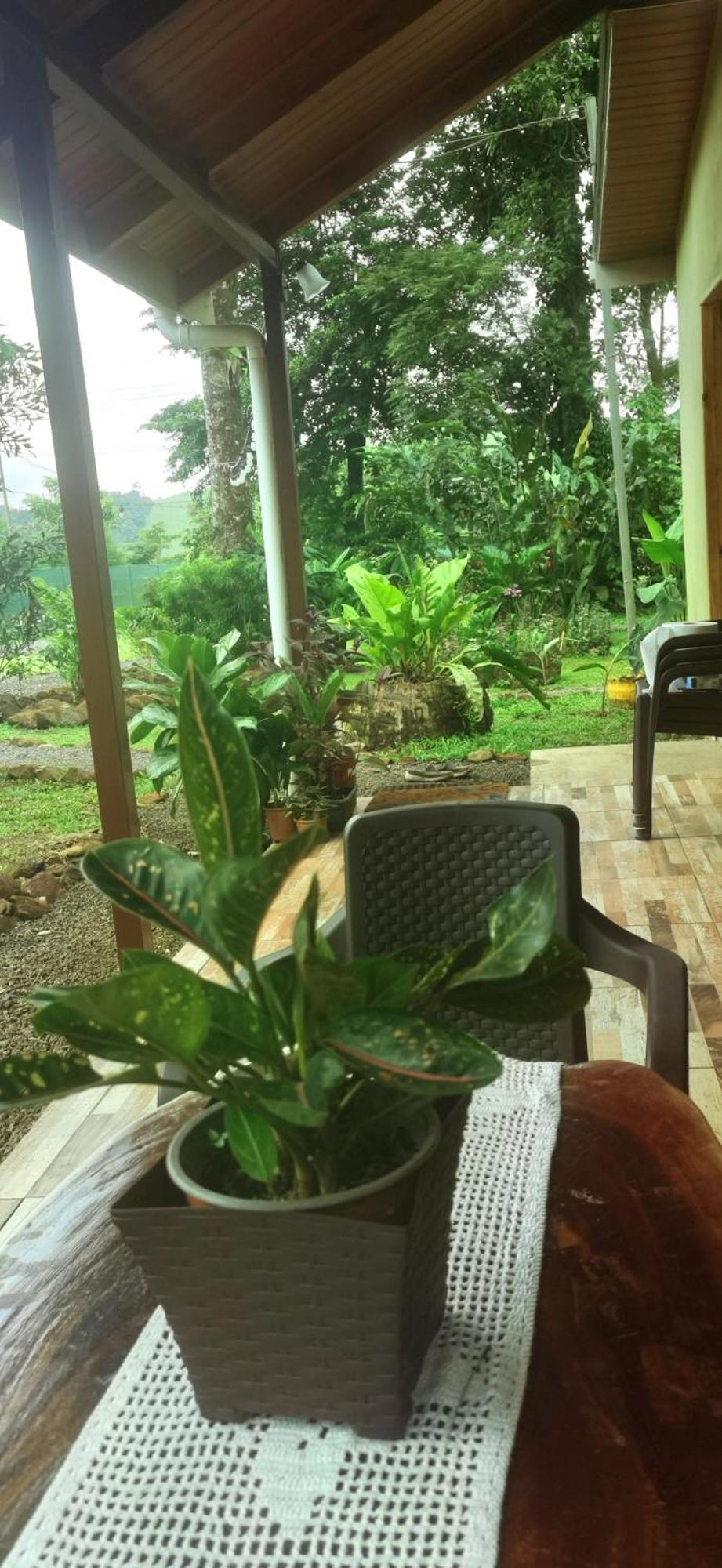 Greenhouse Loft Miravalles Aguas Claras  Экстерьер фото
