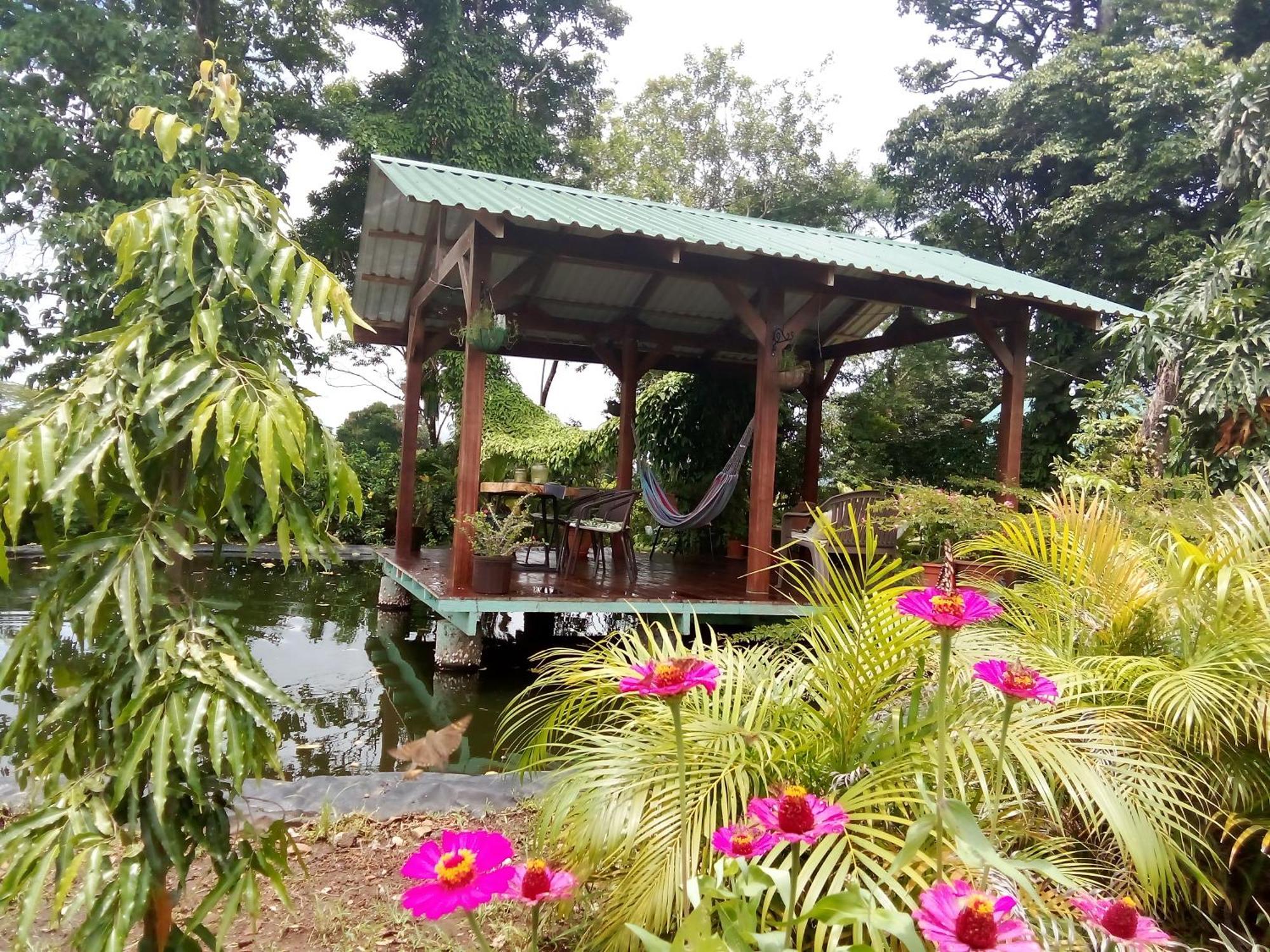 Greenhouse Loft Miravalles Aguas Claras  Экстерьер фото